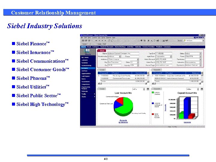 Customer Relationship Management Siebel Industry Solutions n Siebel Finance™ n Siebel Insurance™ n Siebel