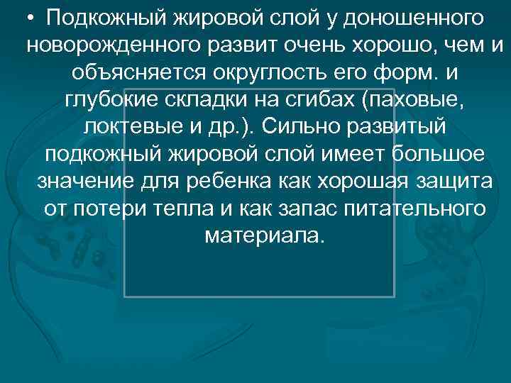  • Подкожный жировой слой у доношенного новорожденного развит очень хорошо, чем и объясняется