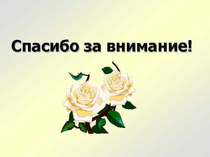 Спасибо за внимание! 