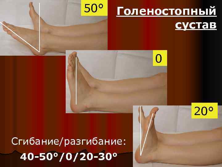50° Голеностопный сустав 0 20° Сгибание/разгибание: 40 -50°/0/20 -30° 
