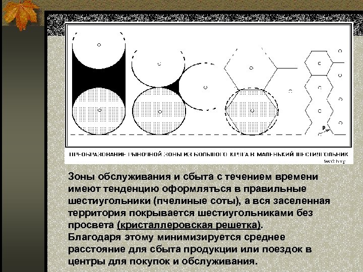 Зоны обслуживания и сбыта с течением времени имеют тенденцию оформляться в правильные шестиугольники (пчелиные