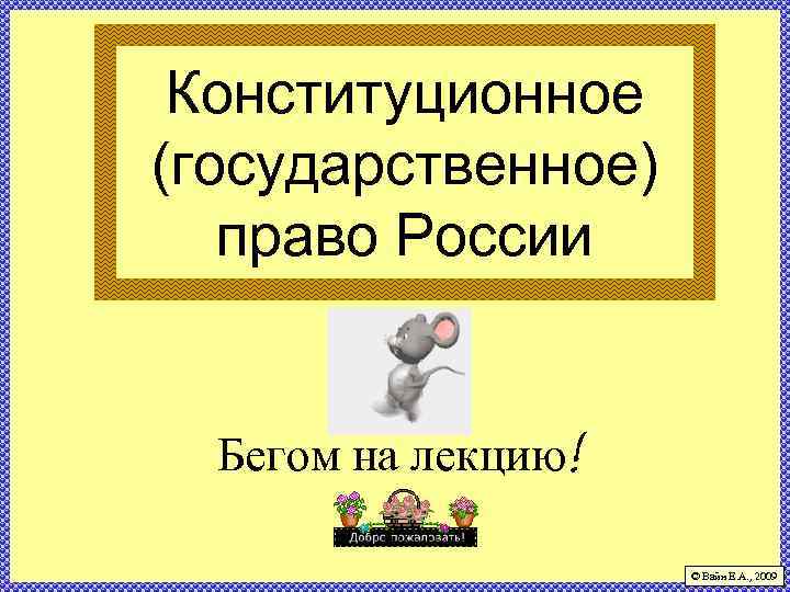 Конституционное (государственное) право России Бегом на лекцию! © Вайн Е. А. , 2009 