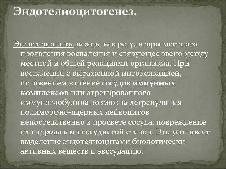 Эндотелиоцитогенез. Эндотелиоциты важны как регуляторы местного проявления воспаления и связующее звено между местной и
