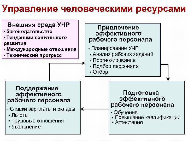 1 управление человеческими ресурсами