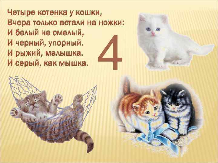 Четыре котенка у кошки, Вчера только встали на ножки: И белый не смелый, И