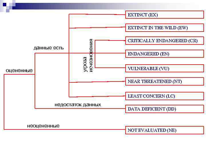 EXTINCT (EX) данные есть оцененные угроза исчезновения EXTINCT IN THE WILD (EW) CRITICALLY ENDANGERED