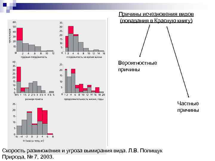Причины исчезновения видов (попадания в Красную книгу) Вероятностные причины Частные причины Скорость размножения и