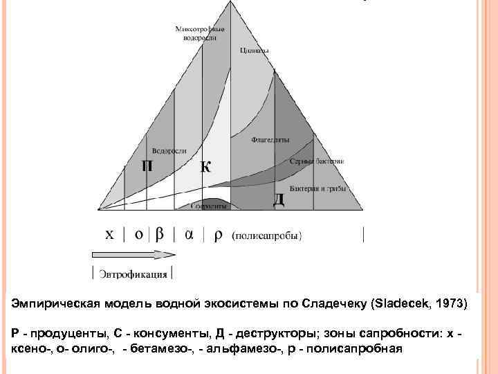 Эмпирическая модель водной экосистемы по Сладечеку (Sladecek, 1973) Р - продуценты, С - консументы,