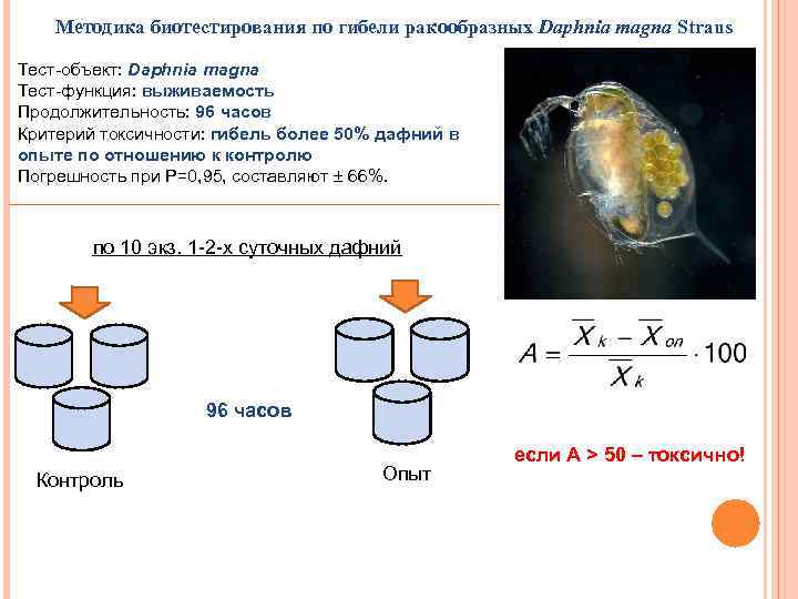 Токсичность дафнии. Методики биотестирования. Тест-объекты для биотестирования.