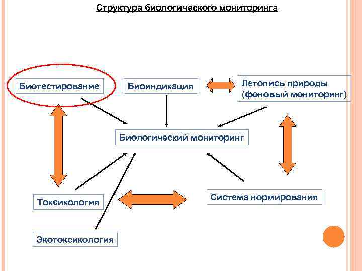 Биологический мониторинг