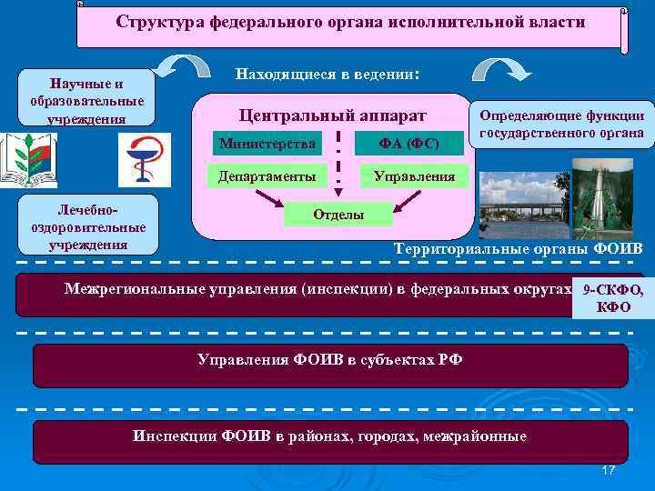 Структура федерального органа исполнительной власти Научные и образовательные учреждения Находящиеся в ведении: Центральный аппарат