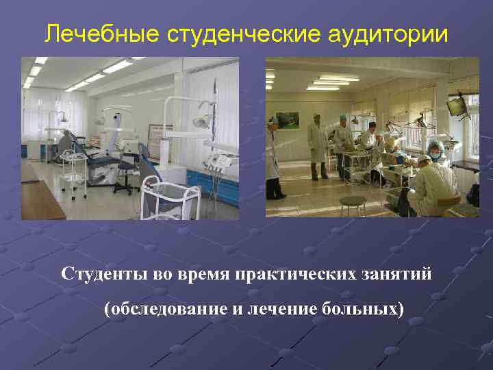 Лечебные студенческие аудитории Студенты во время практических занятий (обследование и лечение больных) 