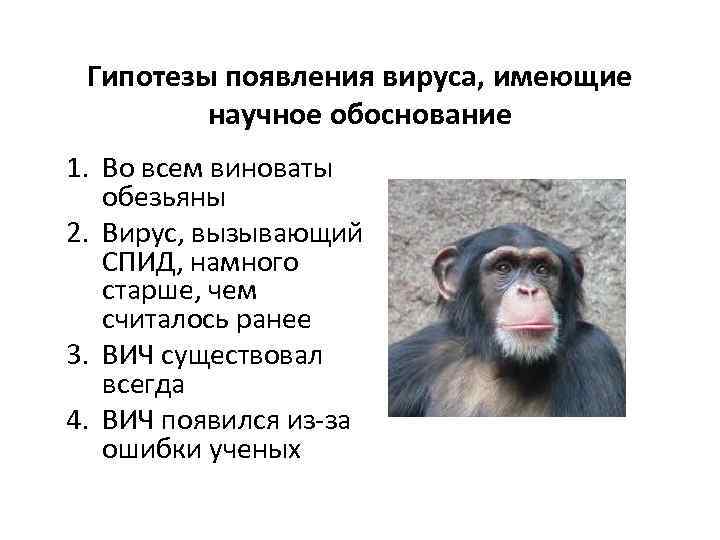 Гипотезы появления вируса, имеющие научное обоснование 1. Во всем виноваты обезьяны 2. Вирус, вызывающий