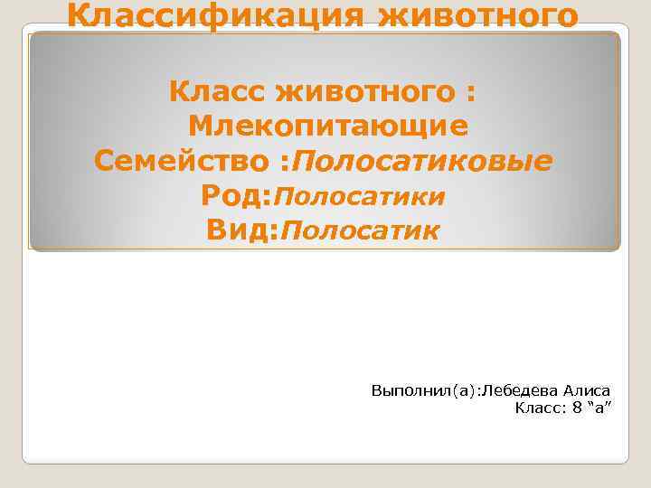 Классификация животного Класс животного : Млекопитающие Семейство : Полосатиковые : Род: Полосатики Вид: Полосатик