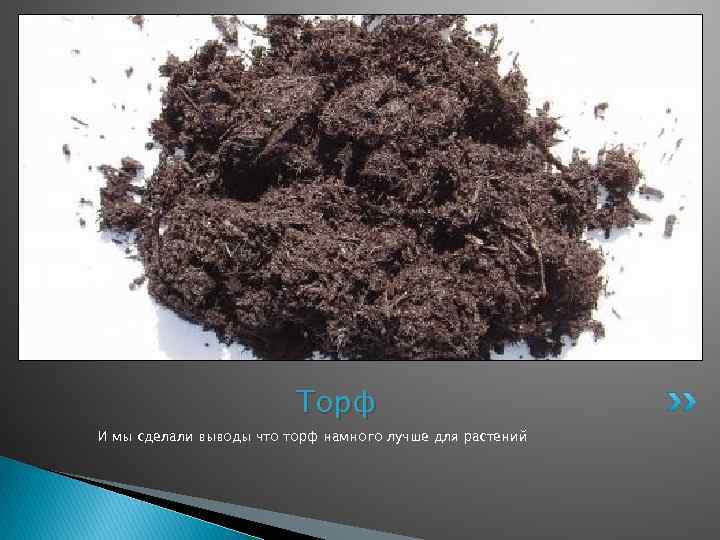 Торф И мы сделали выводы что торф намного лучше для растений 