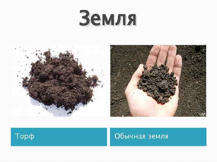 Земля Торф Обычная земля 