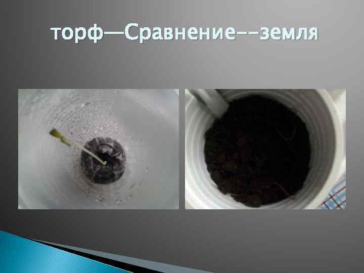 торф—Сравнение--земля 