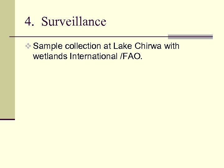 4. Surveillance v Sample collection at Lake Chirwa with wetlands International /FAO. 