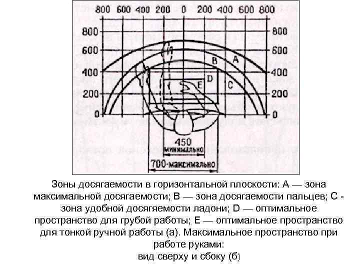 Зоны досягаемости в горизонтальной плоскости: А — зона максимальной досягаемости; В — зона досягаемости
