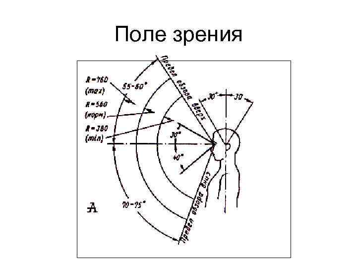 Поле зрения 