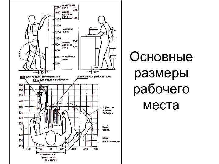 Основные размеры рабочего места 