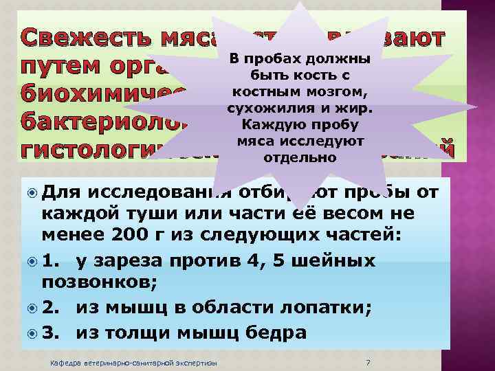 Свежесть мяса устанавливают В пробах должны путем органолептических, быть кость с костным мозгом, биохимических,