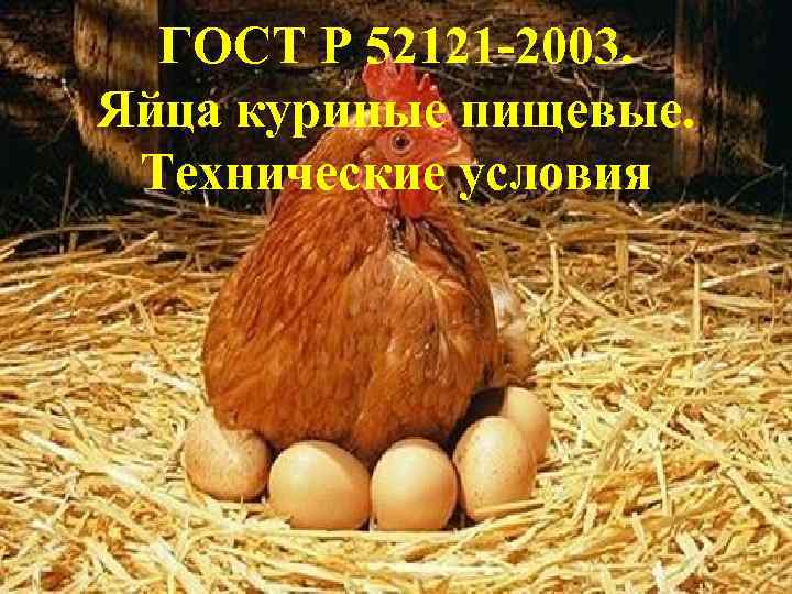 ГОСТ Р 52121 -2003. Яйца куриные пищевые. Технические условия 