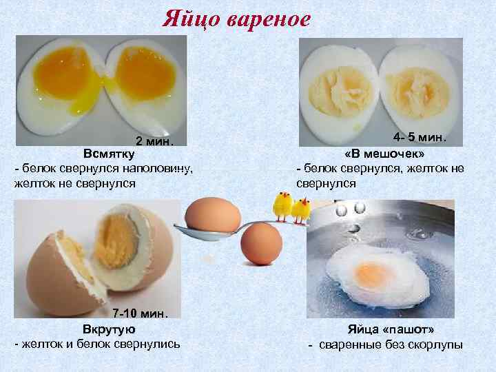 Яйцо вареное 2 мин. Всмятку - белок свернулся наполовину, желток не свернулся 7 -10