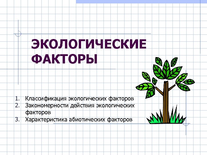 ЭКОЛОГИЧЕСКИЕ ФАКТОРЫ 1. Классификация экологических факторов 2. Закономерности действия экологических факторов 3. Характеристика абиотических