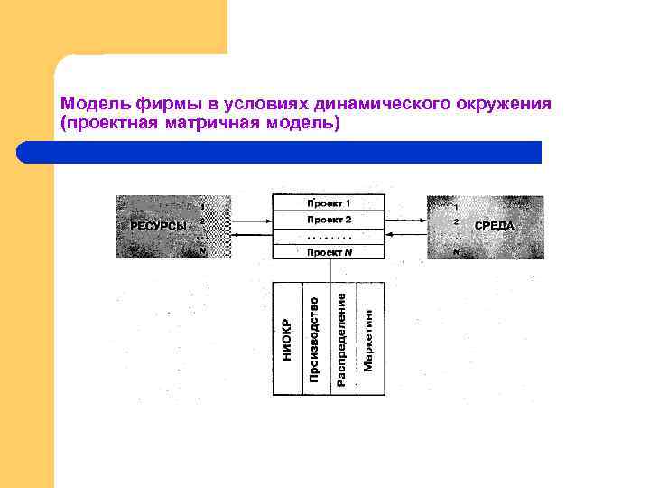 Модель фирмы в условиях динамического окружения (проектная матричная модель) 