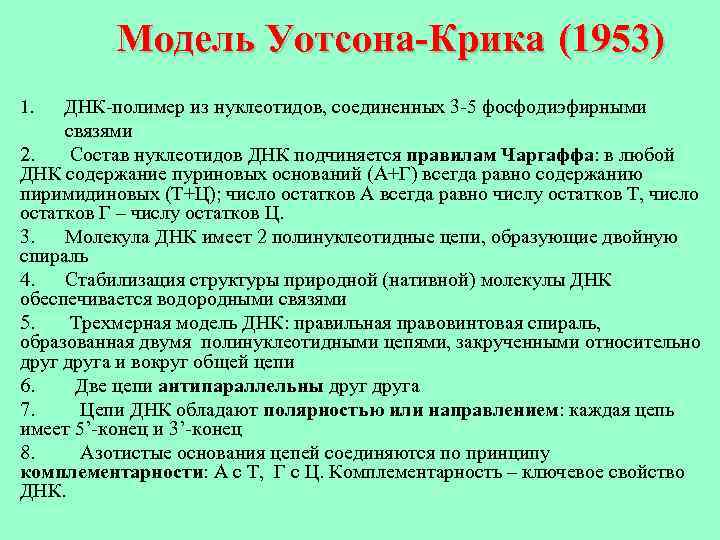 Модель Уотсона-Крика (1953) 1. ДНК-полимер из нуклеотидов, соединенных 3 -5 фосфодиэфирными связями 2. Состав