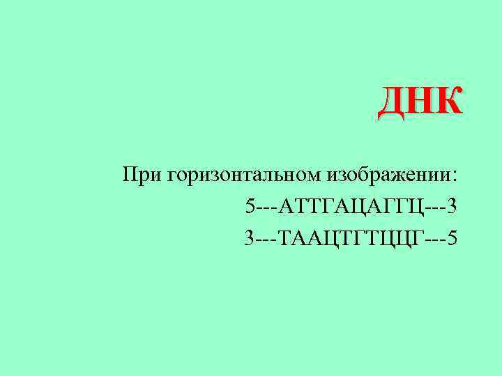 ДНК При горизонтальном изображении: 5 ---АТТГАЦАГГЦ---3 3 ---ТААЦТГТЦЦГ---5 