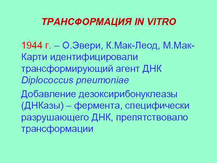 ТРАНСФОРМАЦИЯ IN VITRO 1944 г. – О. Эвери, К. Мак-Леод, М. Мак. Карти идентифицировали