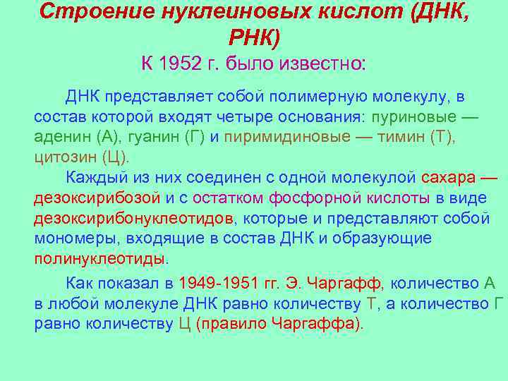 Строение нуклеиновых кислот (ДНК, РНК) К 1952 г. было известно: ДНК представляет собой полимерную