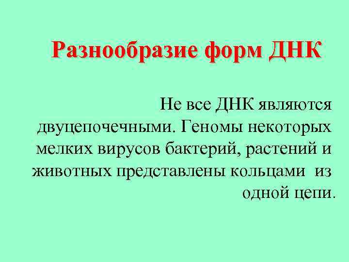 Разнообразие форм ДНК Не все ДНК являются двуцепочечными. Геномы некоторых мелких вирусов бактерий, растений