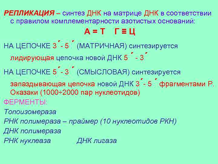 РЕПЛИКАЦИЯ – синтез ДНК на матрице ДНК в соответствии с правилом комплементарности азотистых оснований: