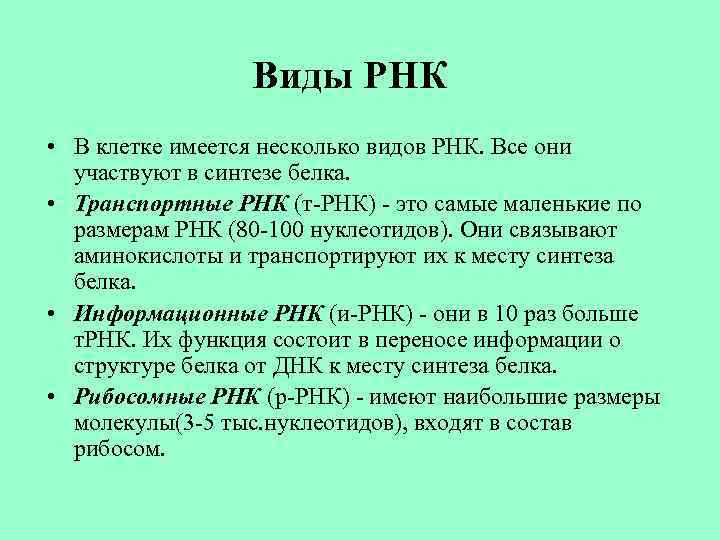 Виды РНК • В клетке имеется несколько видов РНК. Все они участвуют в синтезе