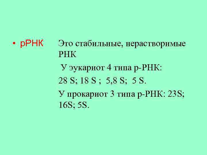  • р. РНК Это стабильные, нерастворимые РНК У эукариот 4 типа р-РНК: 28