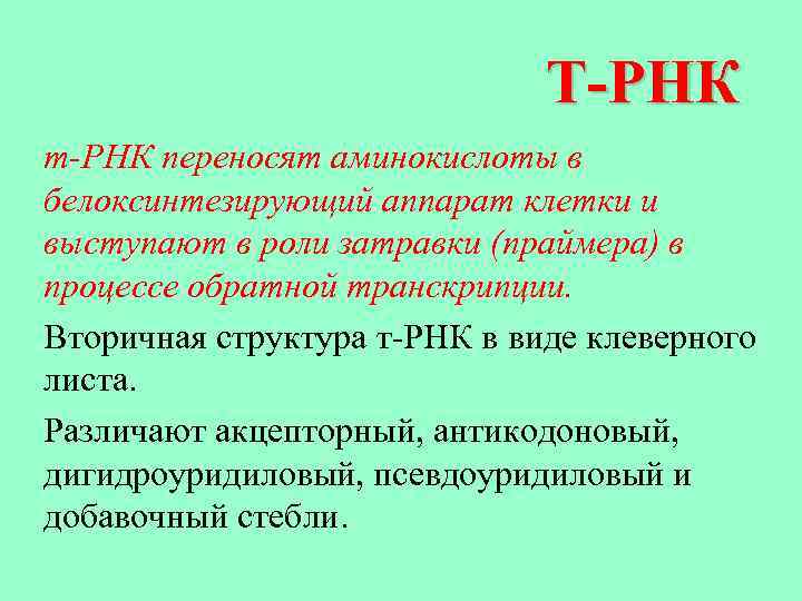 Т-РНК т-РНК переносят аминокислоты в белоксинтезирующий аппарат клетки и выступают в роли затравки (праймера)