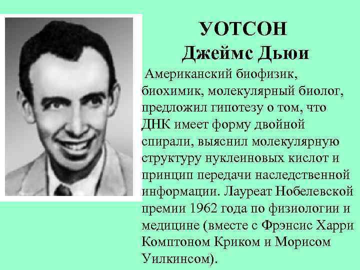 УОТСОН Джеймс Дьюи Американский биофизик, биохимик, молекулярный биолог, предложил гипотезу о том, что ДНК