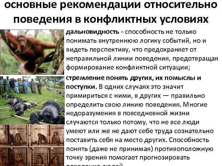 основные рекомендации относительно поведения в конфликтных условиях • дальновидность - способность не только понимать