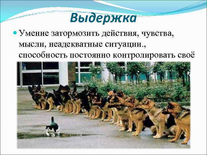 Выдержка Умение затормозить действия, чувства, мысли, неадекватные ситуации. , способность постоянно контролировать своё поведение.