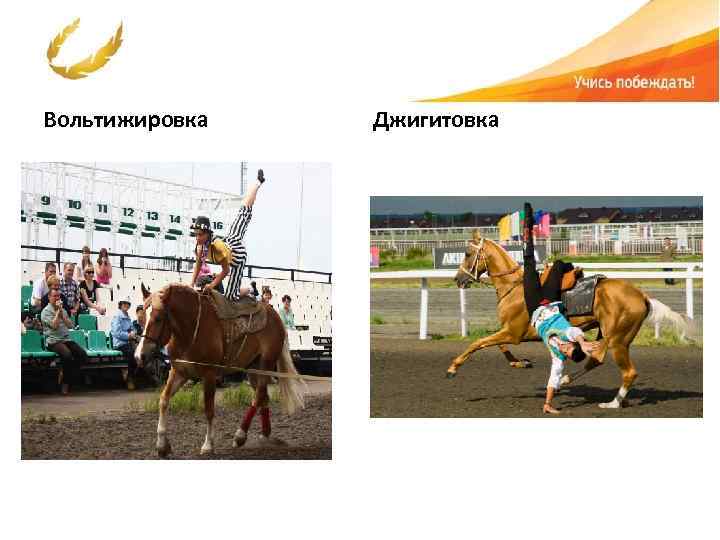 Вольтижировка Джигитовка 