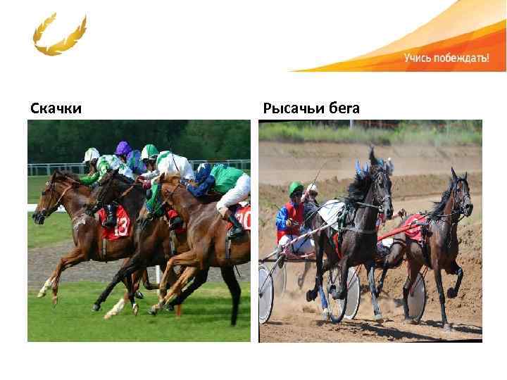 Скачки Рысачьи бега 