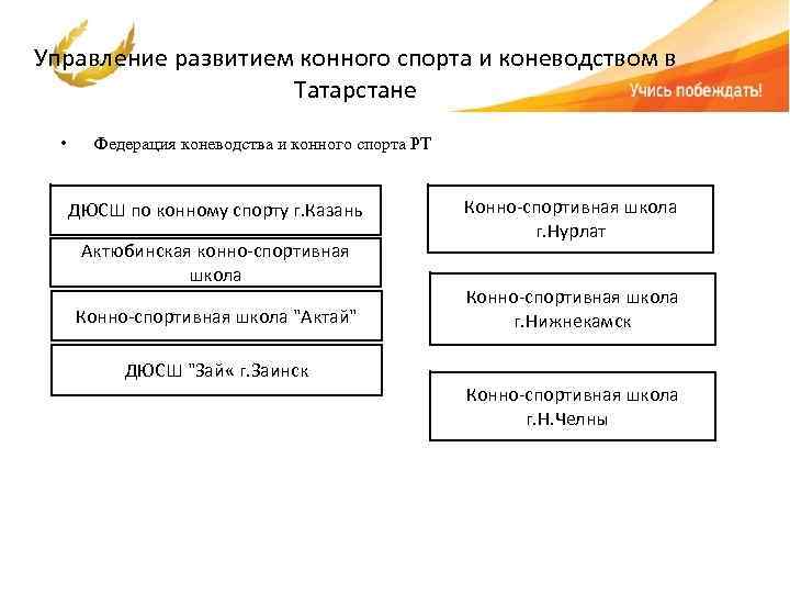 Управление развитием конного спорта и коневодством в Татарстане • Федерация коневодства и конного спорта