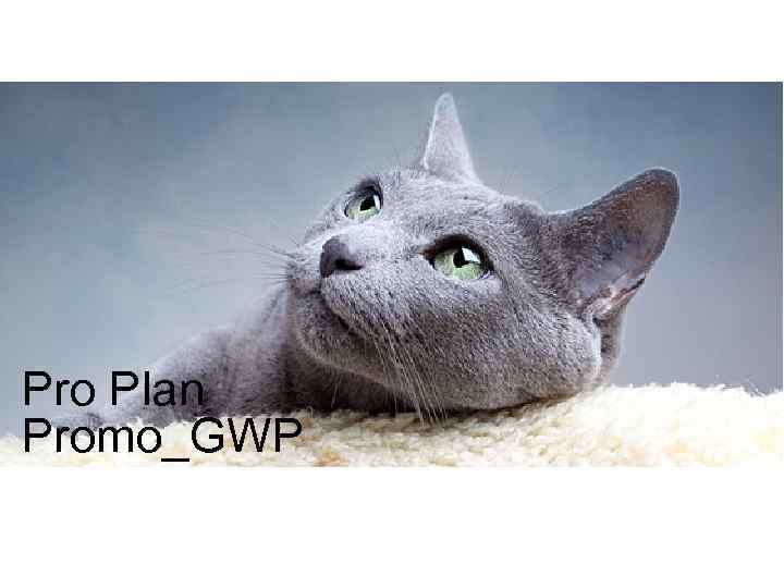 Pro Plan Promo_GWP 