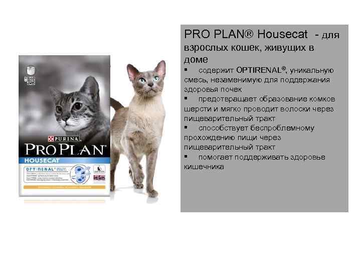 Pro Plan на выставке. Pro Plan подорожание. Стенды Pro Plan. Самарская ветеринарная конференция Pro Plan. Pro plan почки