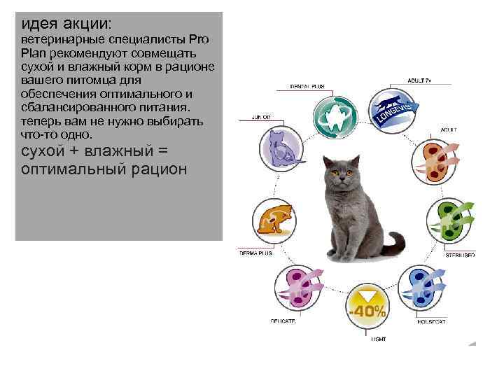 идея акции: ветеринарные специалисты Pro Plan рекомендуют совмещать сухой и влажный корм в рационе