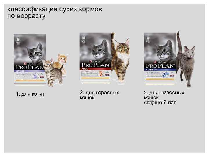 классификация сухих кормов по возрасту 1. для котят 2. для взрослых кошек 3. для