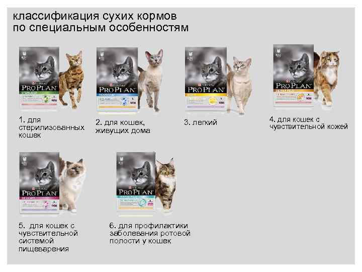 классификация сухих кормов по специальным особенностям 1. для стерилизованных кошек 5. для кошек с